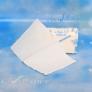 Papierhandtücher, 2-lagig, 20,3x32 cm,...