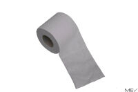 Toilettenpapier, 2-lagig, 250 Blatt, Recycling - weiss,...